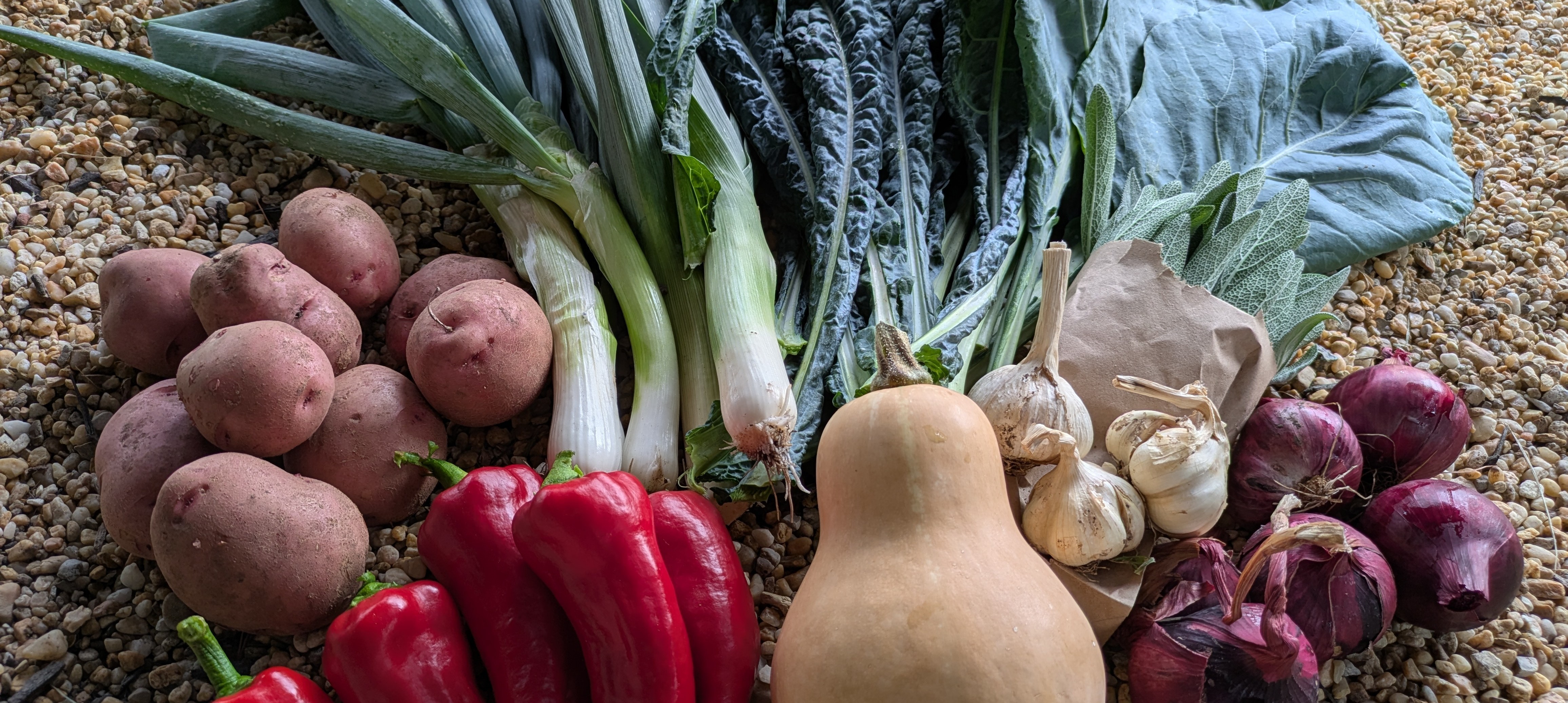 The Nourish Acres Weekly Veg Box Example 1