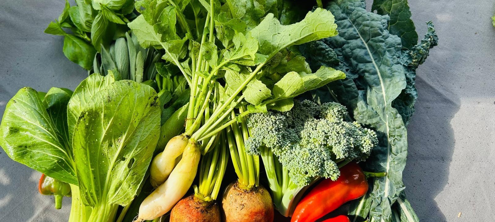 The Nourish Acres Weekly Veg Box Example 3